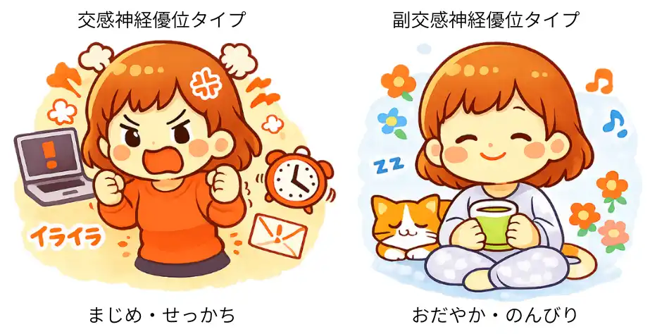 自律神経優位タイプ・副交感神経優位タイプのイメージ図