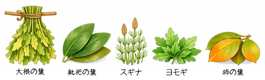 自然療法で使用する野草のイメージ図