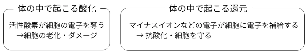 体の中の酸化還元