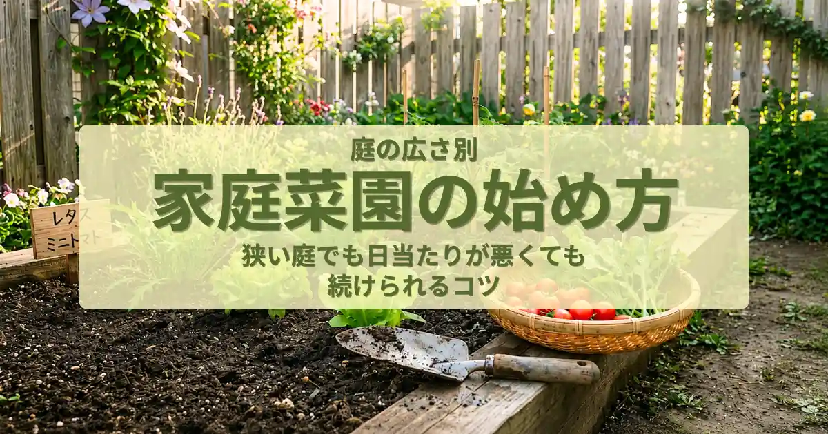 家庭菜園の始め方アイキャッチ